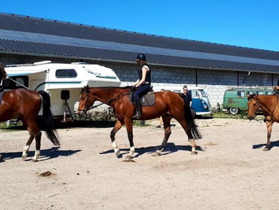 PCK Eersel Camperplaatsen — Stellplatz in Eersel