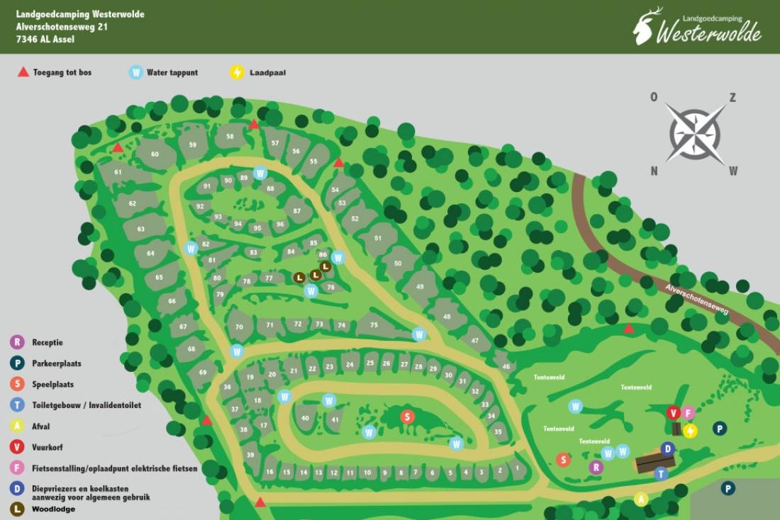 Landgoedcamping Westerwolde — Campingplatz in Assel