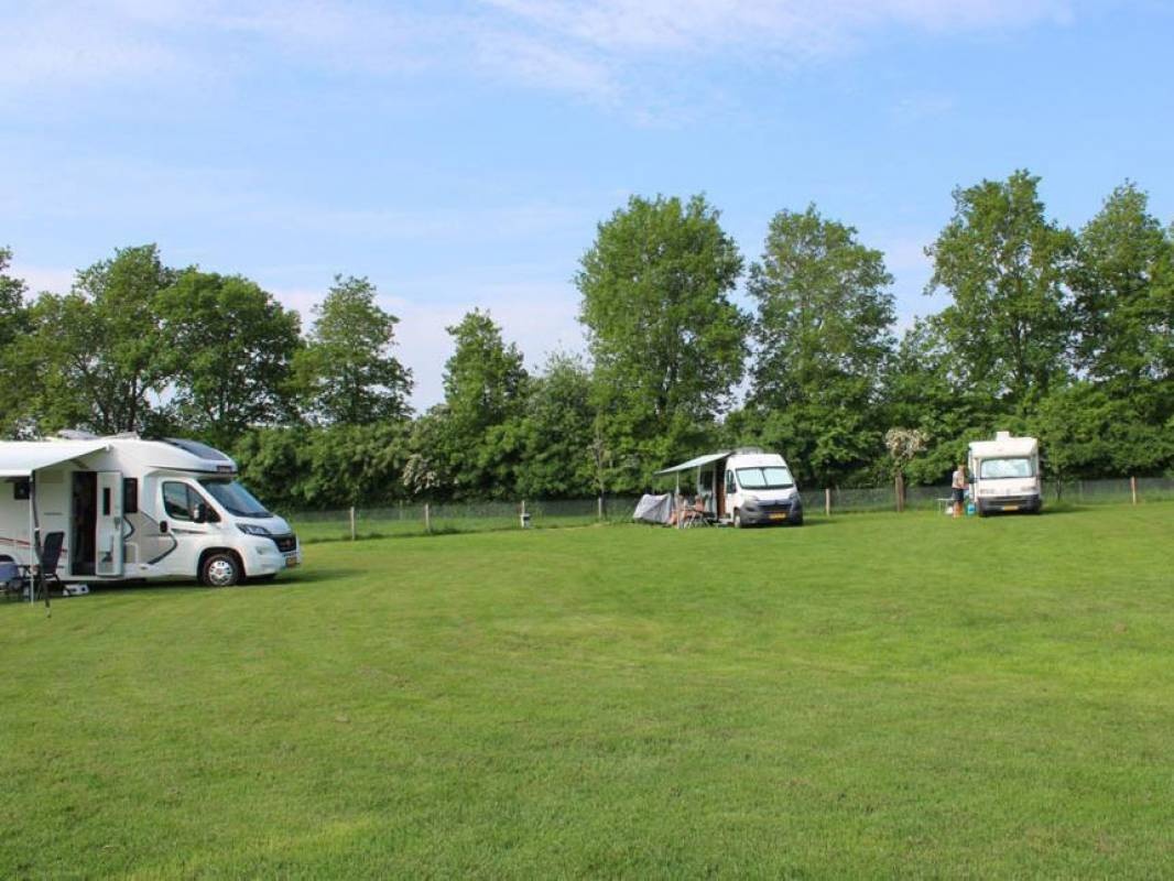 De Waterbuffelfarm Oldemarkt — Campingplatz in Oldemarkt