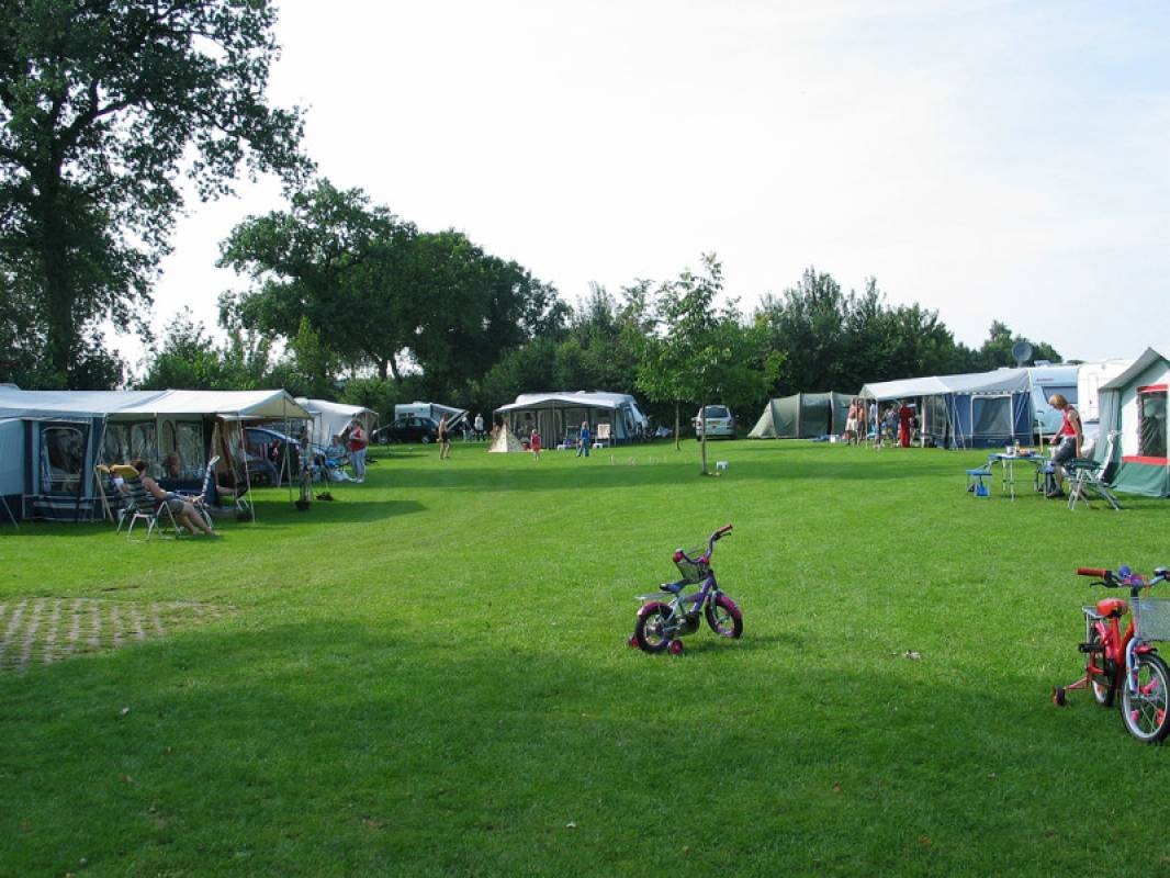 Boerencamping de Elshof — Camping in Holten