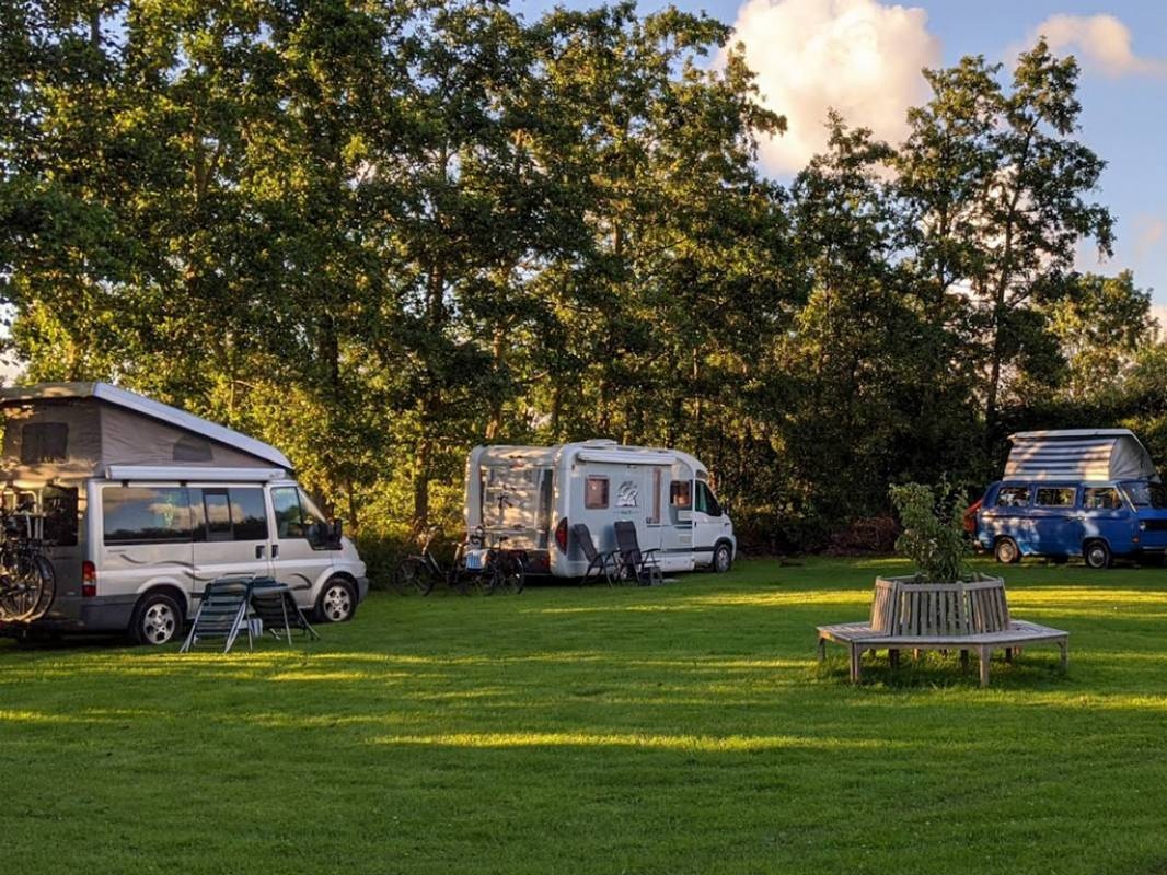 Camp Zuiderhorn — Kemping in Warffum