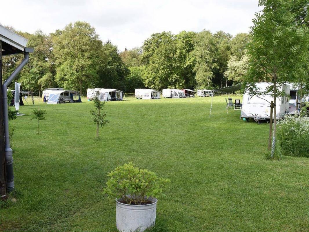 Scharrelhoes Landschapscamping — Camping in Enschede