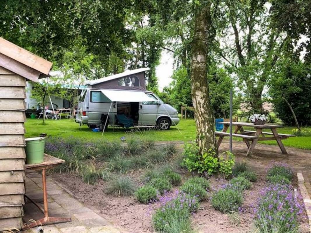 Camperplaats Dun Achtertuin — Stellplatz in Kruisland