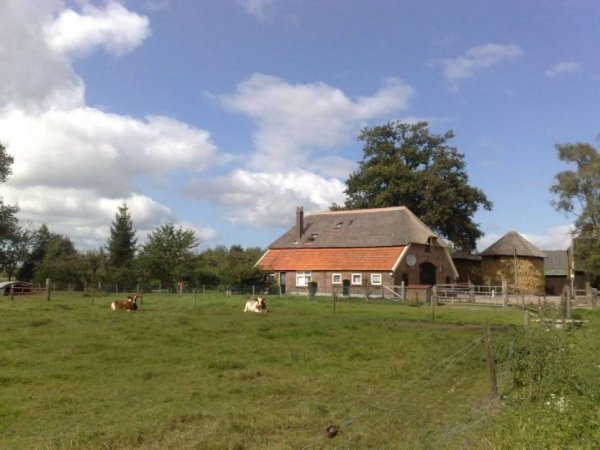 Boerderijcamping De Kleverkamp — Photo 2