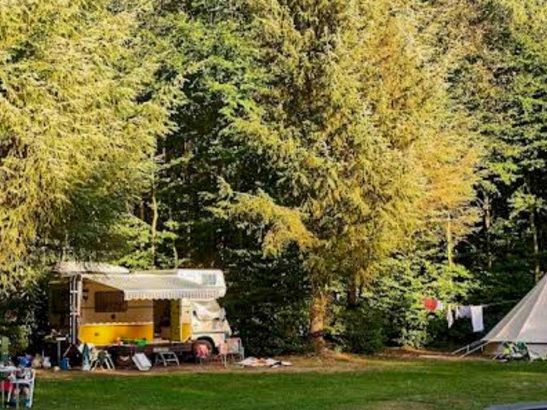 Camping Noorderloo — Campingplass in Vriescheloo