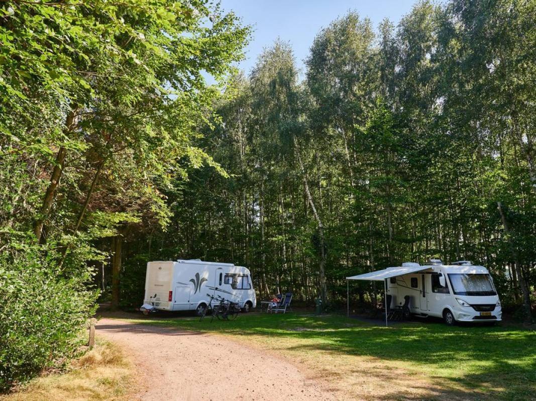 Camping Noorderloo — Campingplass in Vriescheloo