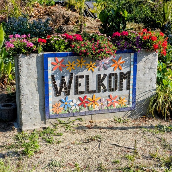 Minicamping De Bloementuin — Photo 4