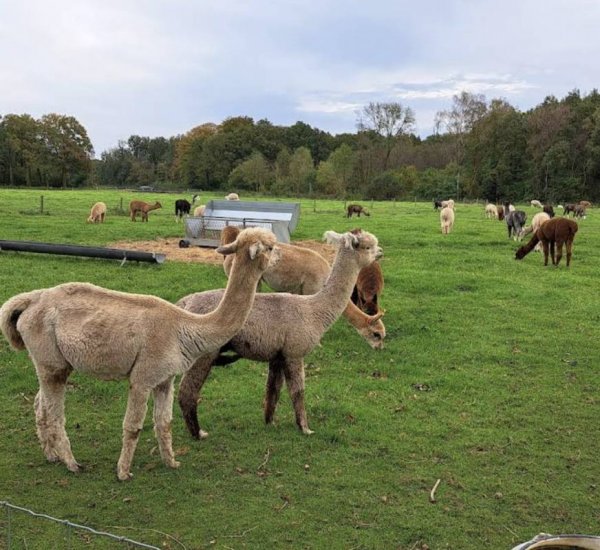 Camping 't Uitzicht — Photo 2