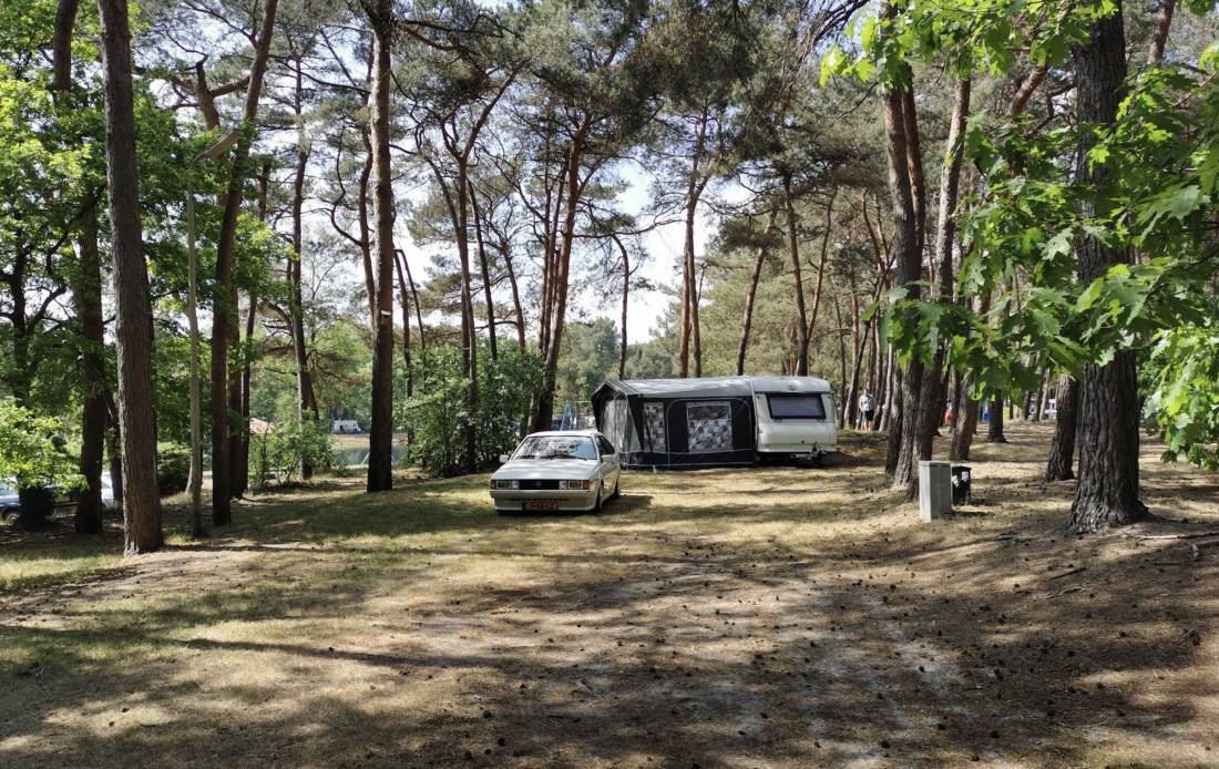 Camping Boekels Ven — Місце для кемпінгу in Boekel