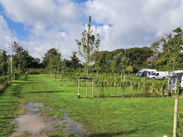Camping Waddenzee — Foto 3
