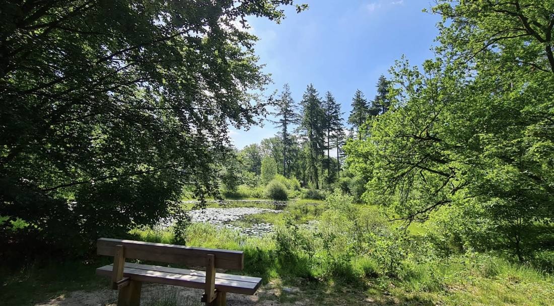 Natuurkampeerterrein Leenderbos — Campingplatz in Leende