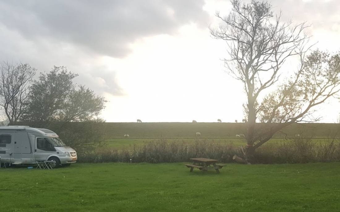 Camping Sotterum — Camping in Cornwerd