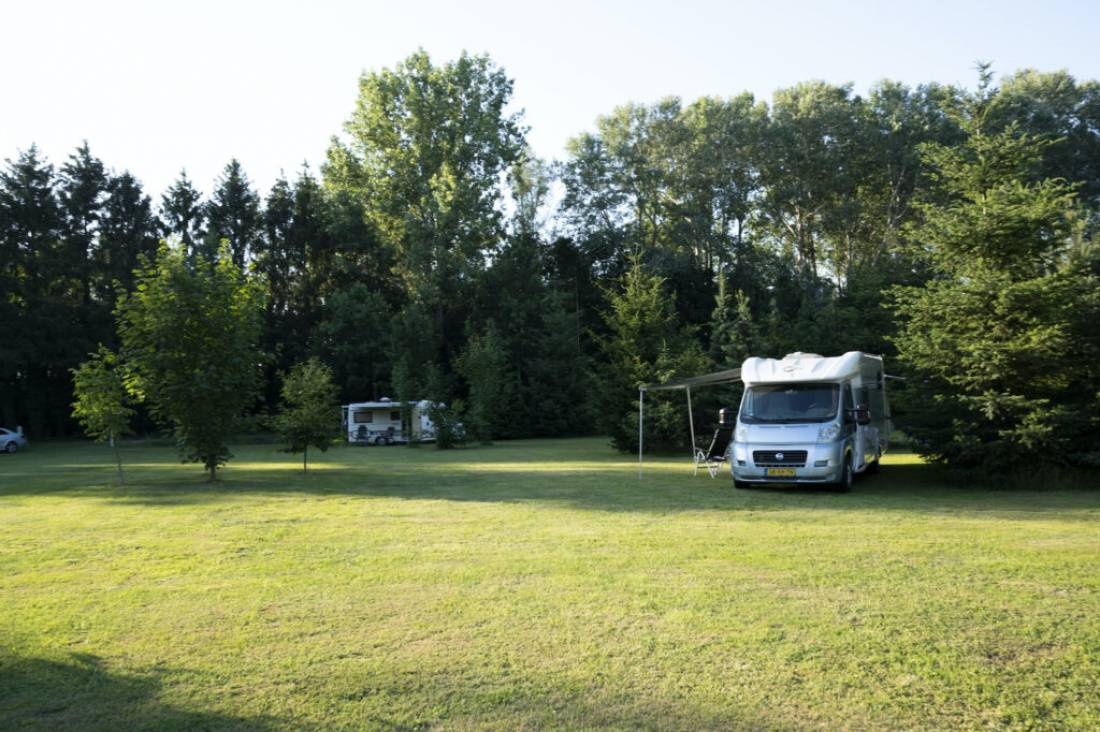 Camping De Kleine Schuif — Camping Site in Klarenbeek