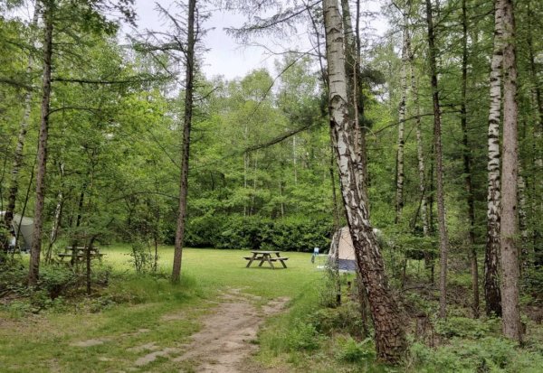 Natuurkampeerterrein De Lier