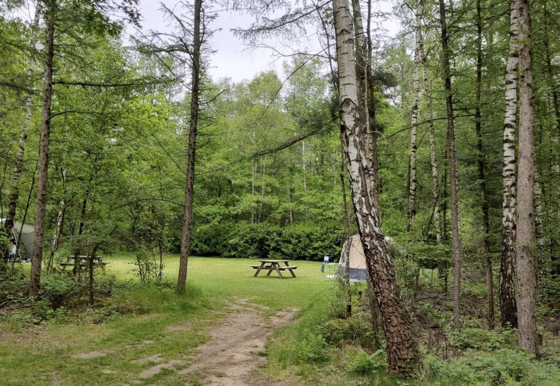 Natuurkampeerterrein De Lier — Camping Site in Lierop