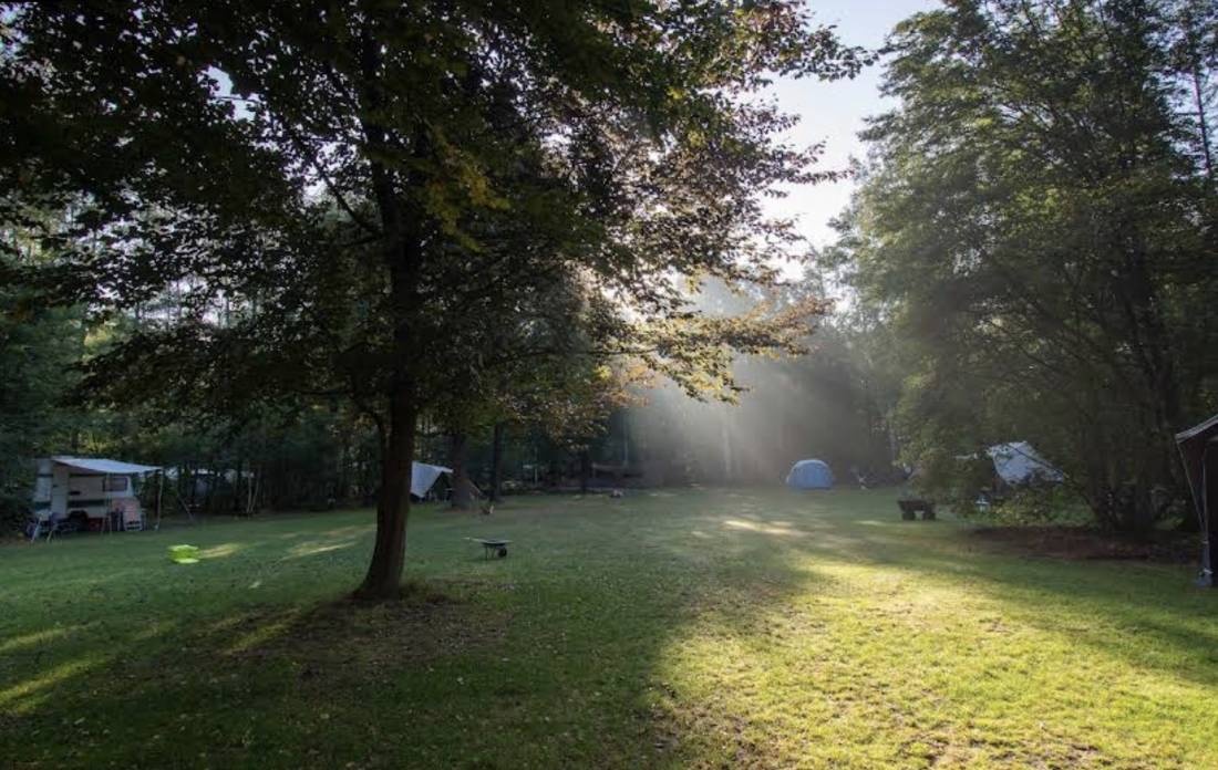 Natuurkampeerterrein De Lier — Campingplatz in Lierop