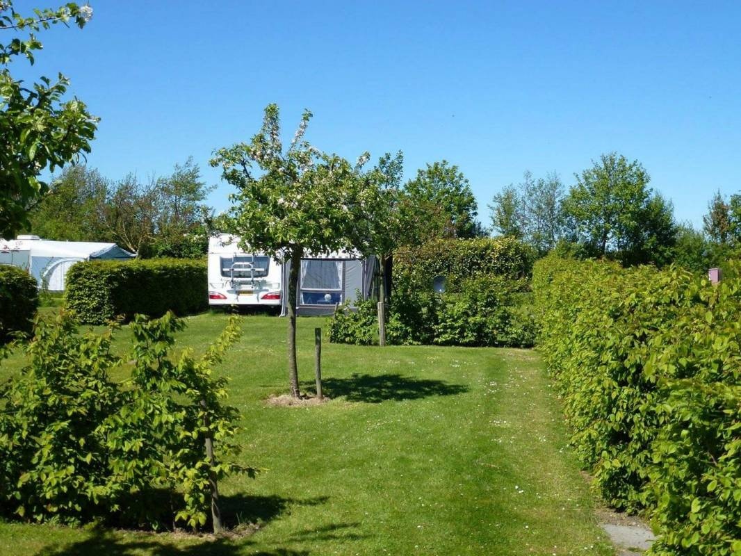 Minicamping De Boshoorn — Campingplatz in Serooskerke