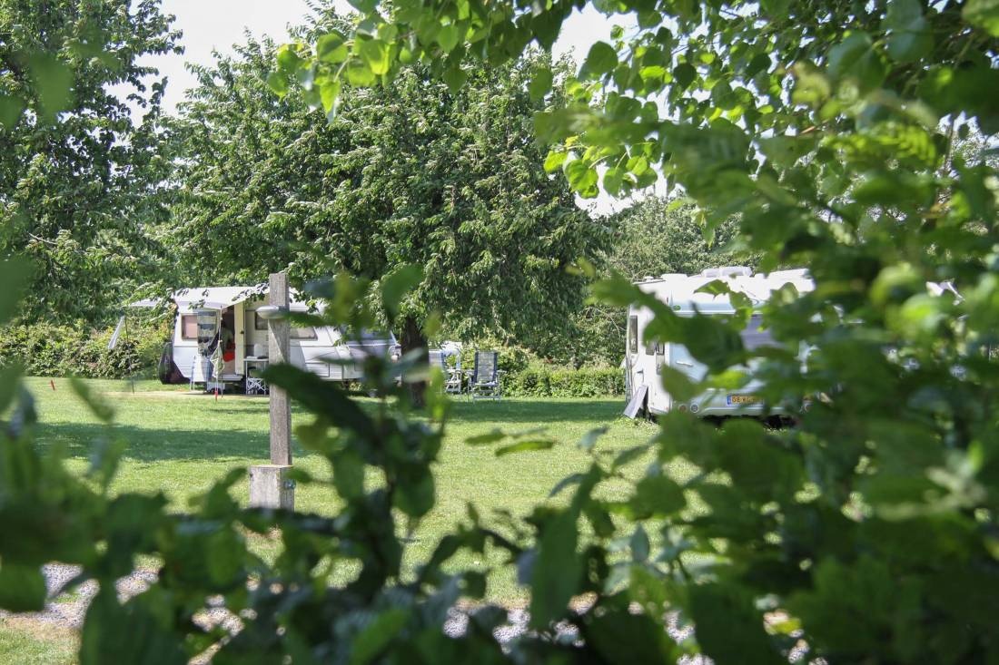 Camping De Mescherhei — Camping Site in Sint Geertruid