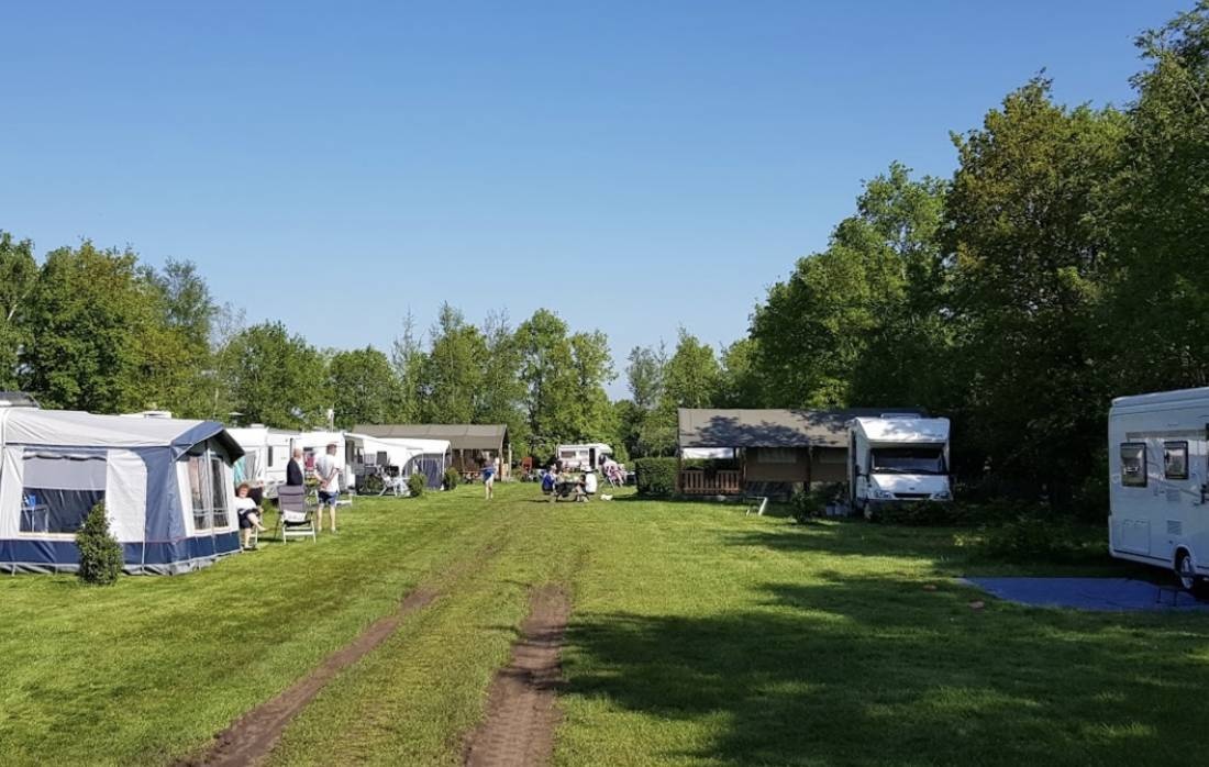 Camping De Berghoeve — Camping in Ruinen