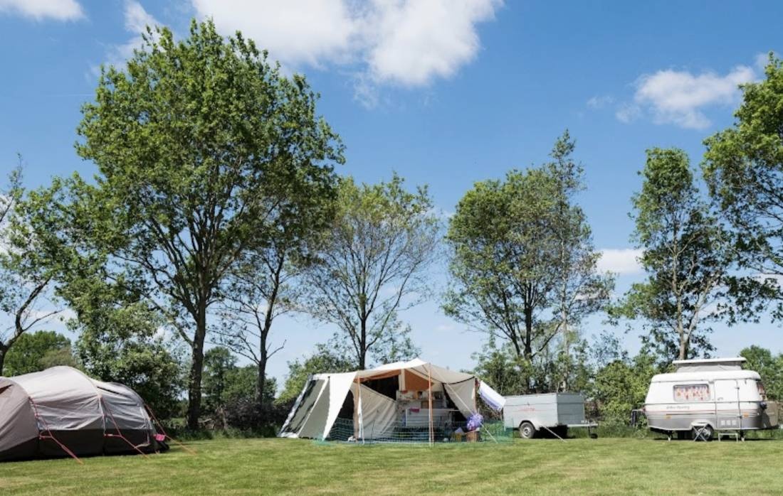 Camping De Berghoeve — Camping in Ruinen