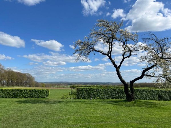 Mini Camping De Hoge Hof — Photo 2