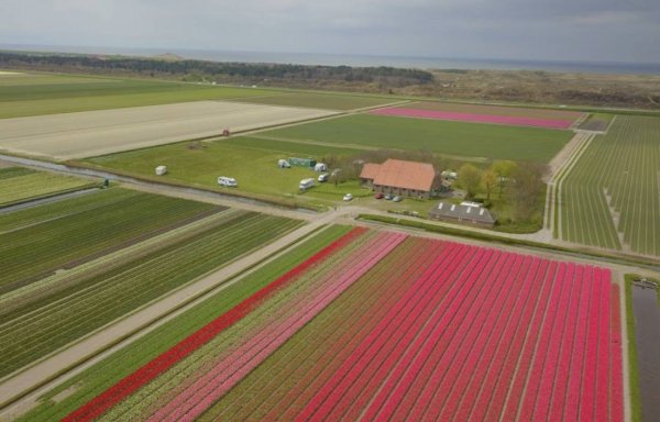 Camping Hazenoord — Photo 2