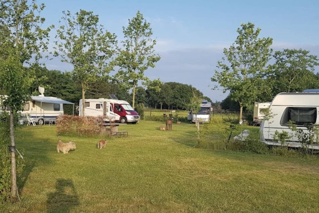 Camping De Klompenboom — Campingplatz in Galder