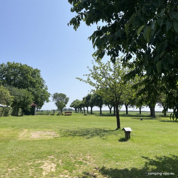 Camping De Kersengaard — Photo 3
