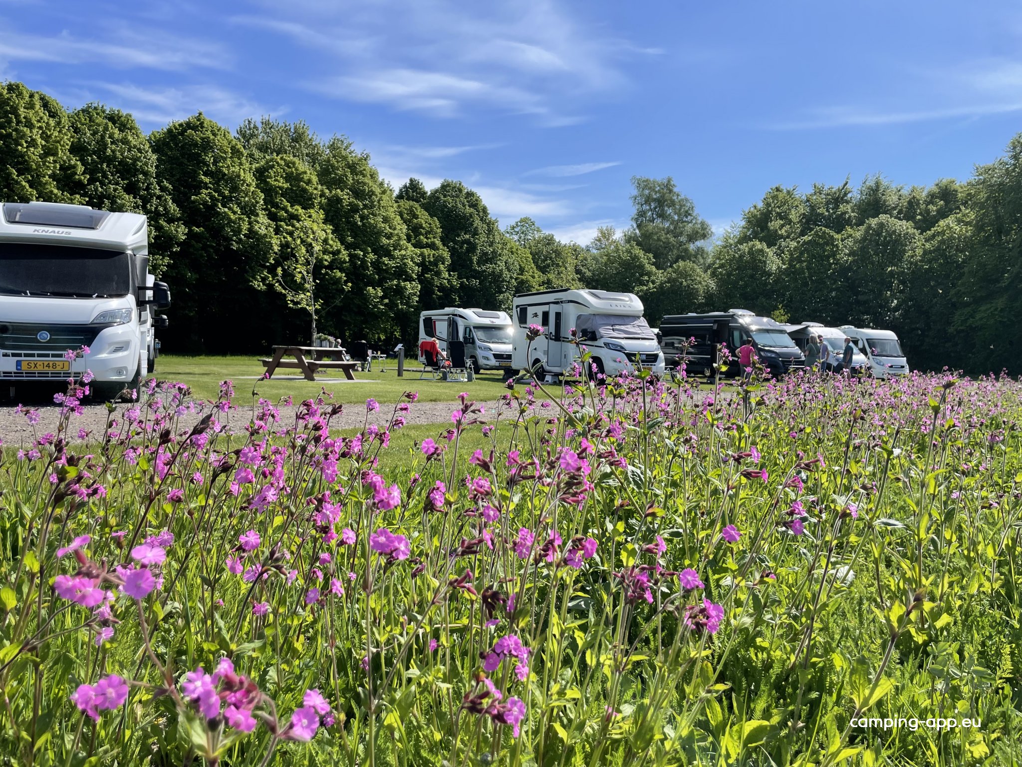 Camperplaats Loosterstee — Ställplats in Vriescheloo