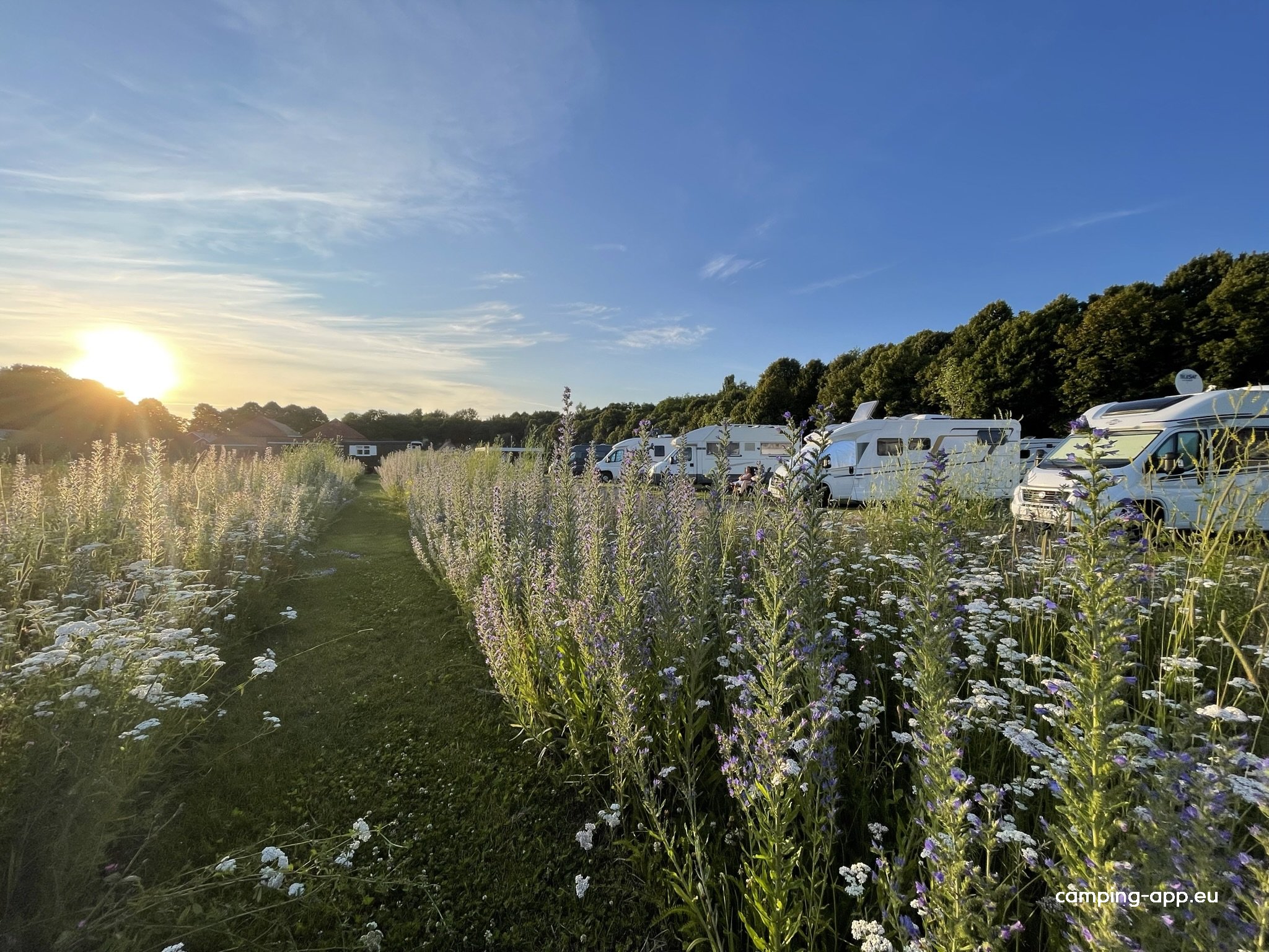 Camperplaats Loosterstee — Foto 3