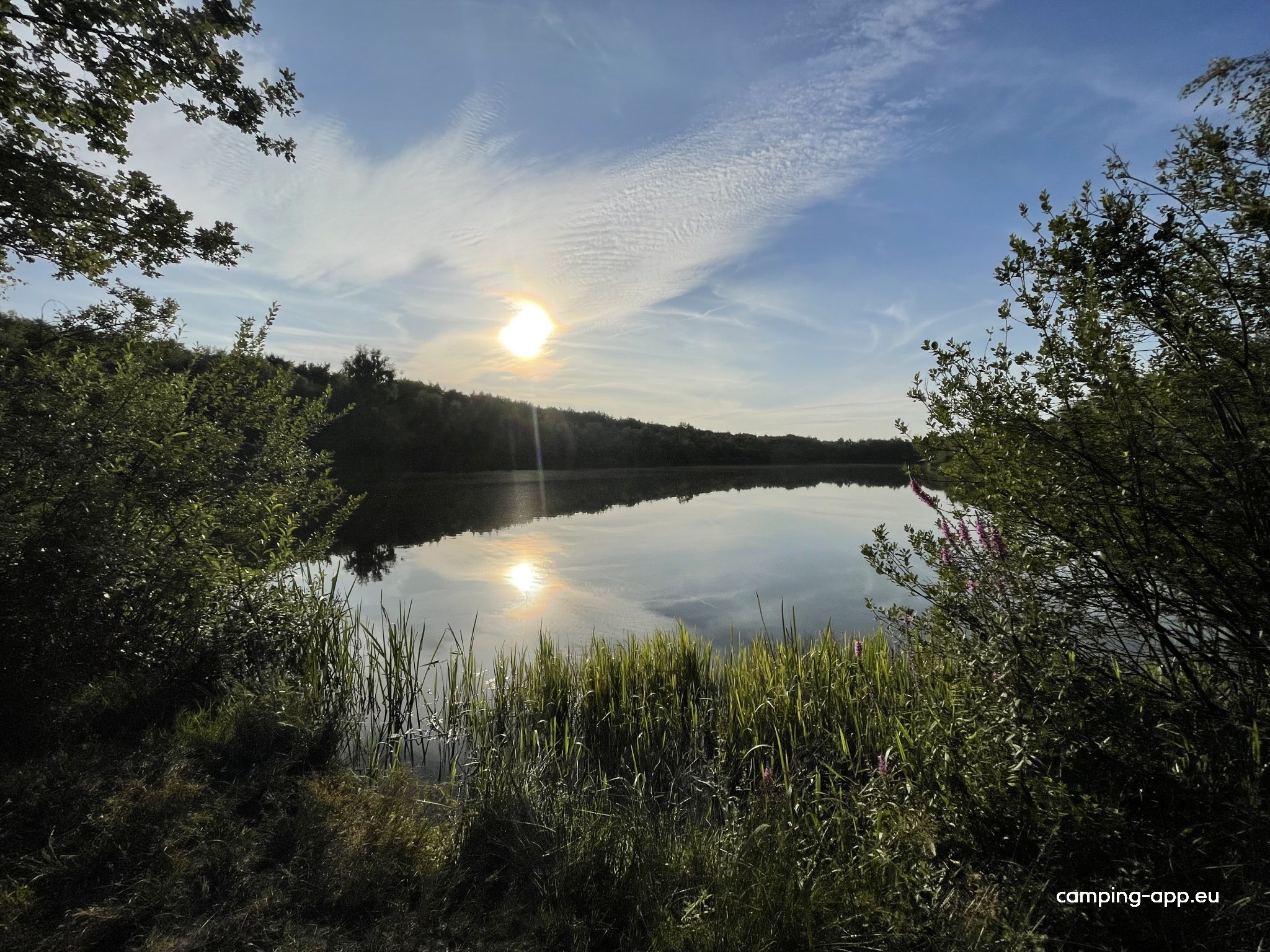 Camperplaats Loosterstee — Foto 6