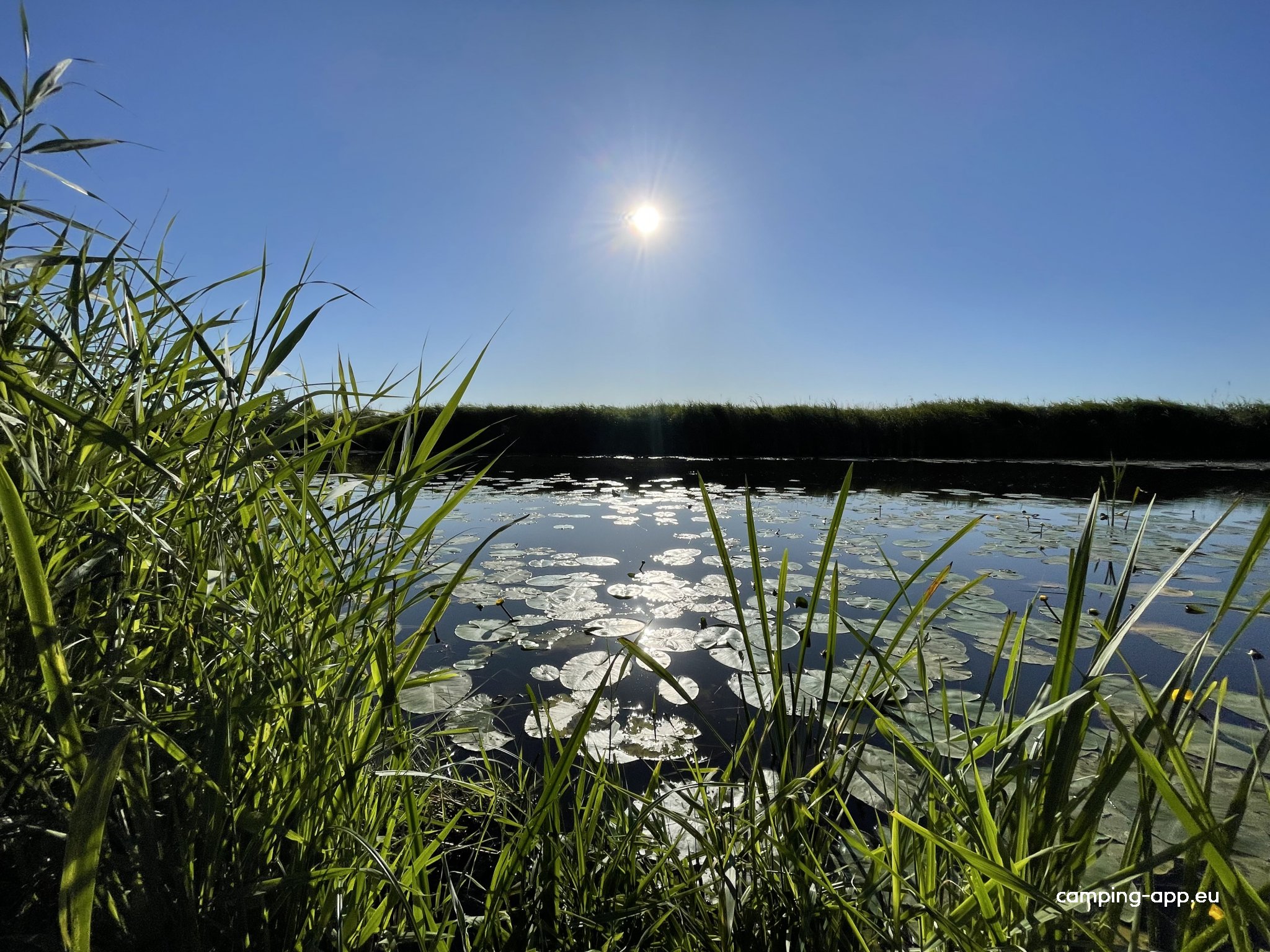 Camperplaats Loosterstee — Foto 5