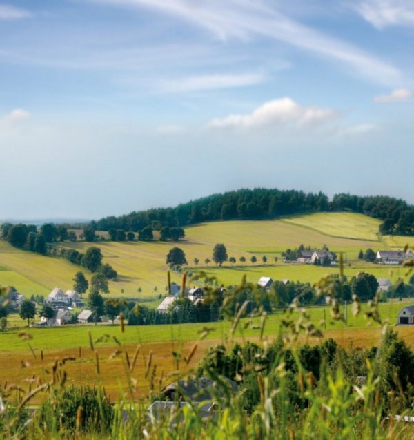 Ferienpark Seiffen — Photo 2