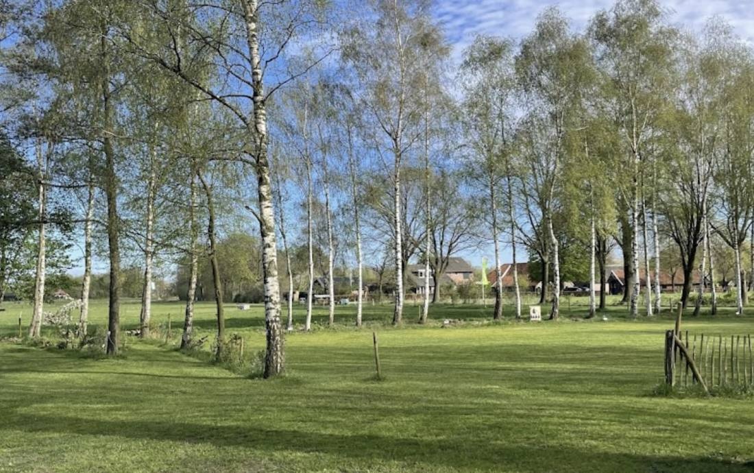 Camping De BomBam — Kemping in Eibergen