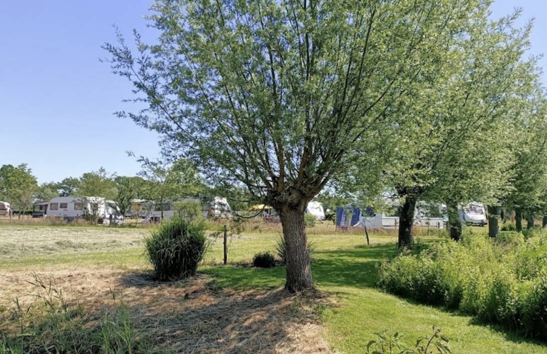 Camping Anne-Mariehoeve — Campingplatz in Oisterwijk