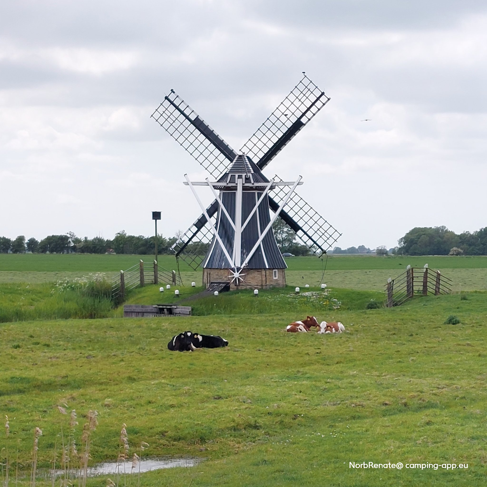 Jachthaven Lauwersmeer — Foto 2