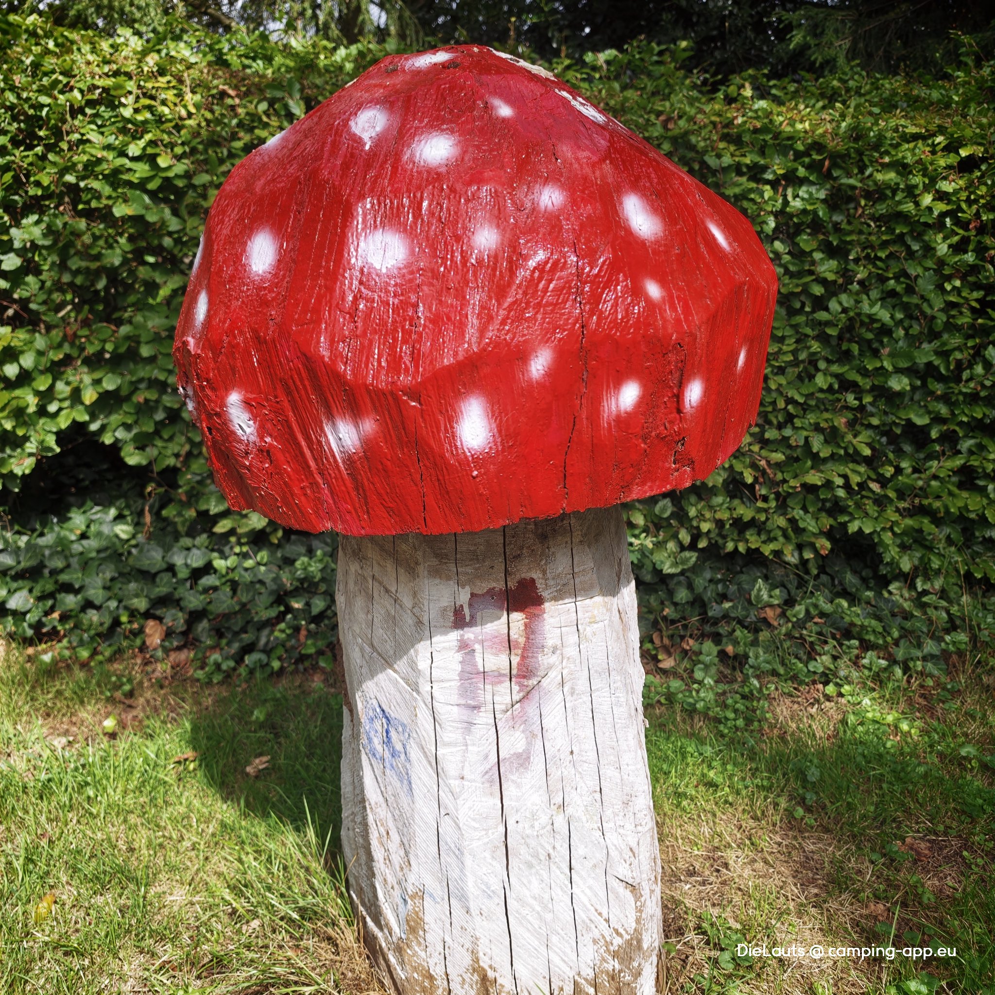 Camperboerderij De Soley — Foto 5