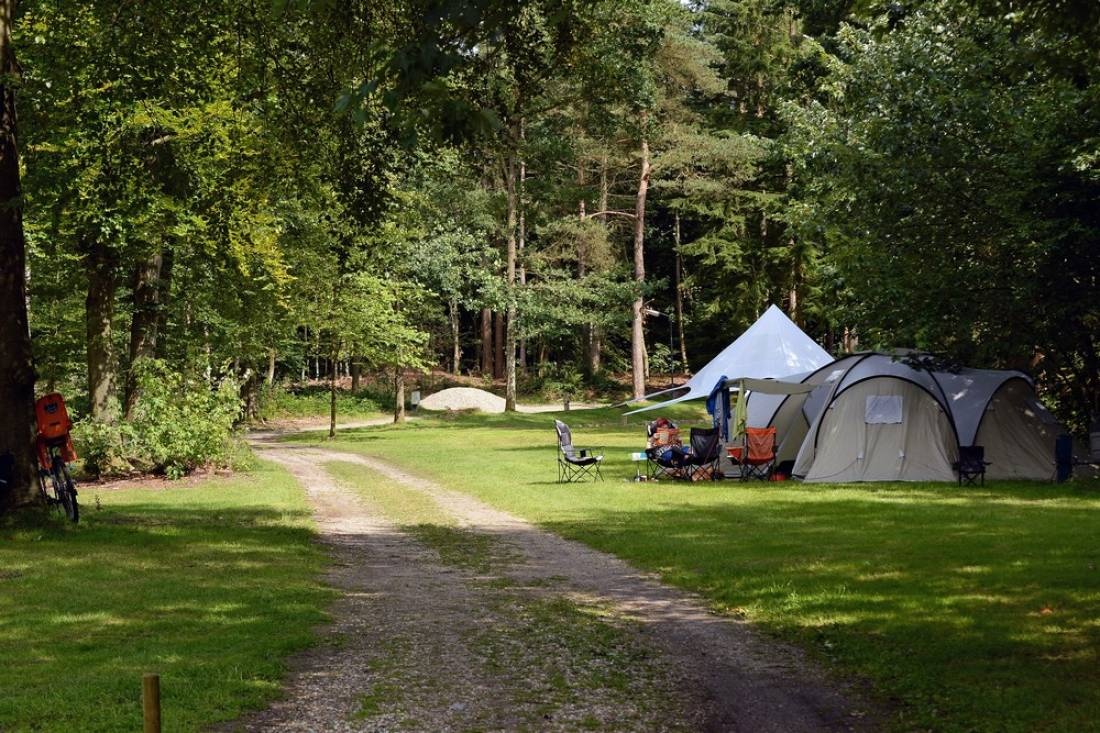 Camping 't Vlintenholt — Kemping in Odoorn