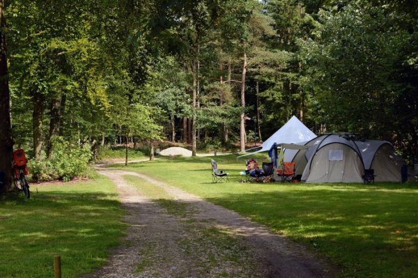 Camping 't Vlintenholt