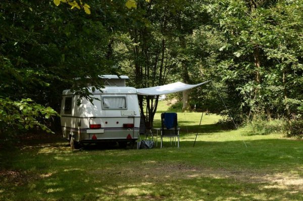 Camping 't Vlintenholt — Photo 2