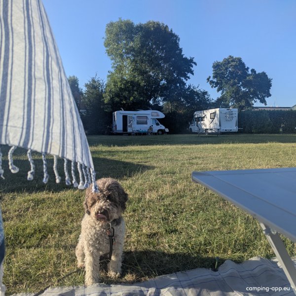 Minicamping Ben Trovato — Photo 5