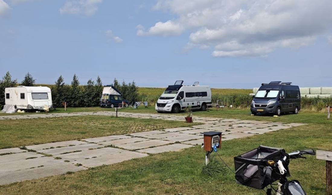 Boerencamping De Eendracht — Farm in De Cocksdorp