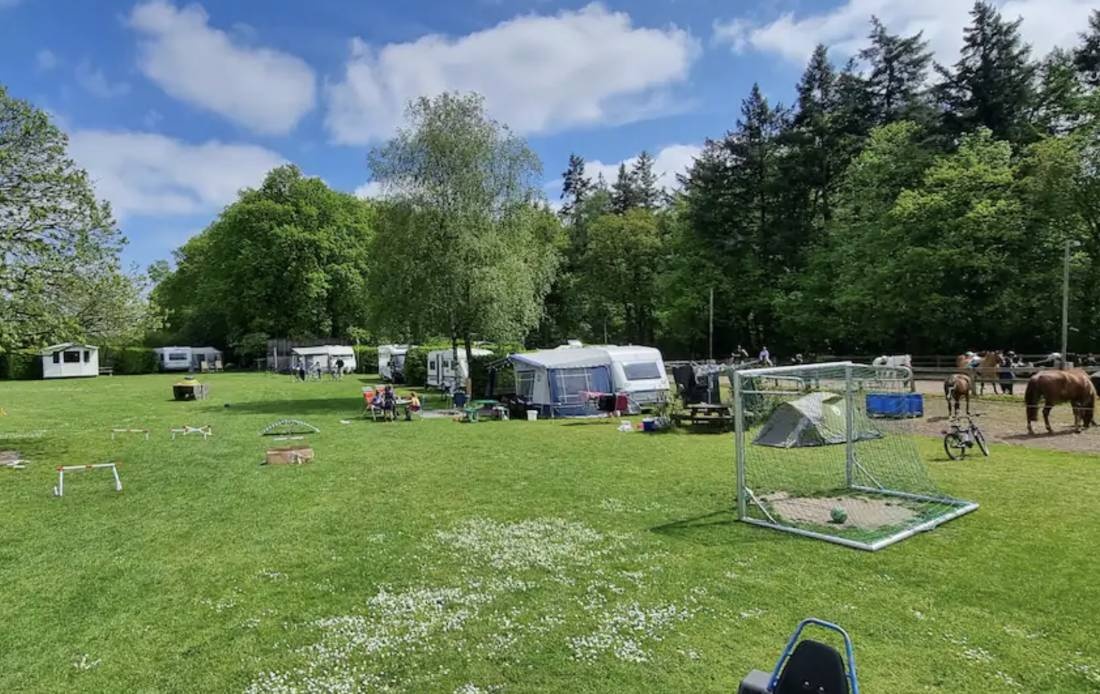 Camping Knollegruun — Cámping in Schoonloo