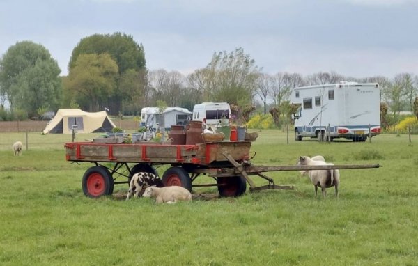 Minicamping De Leuve Hoeve — Photo 2