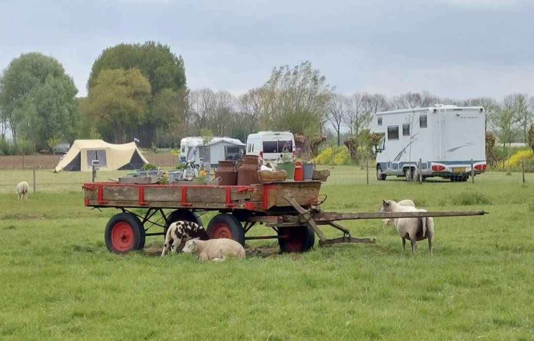 Minicamping De Leuve Hoeve — Campingplatz in Vuren