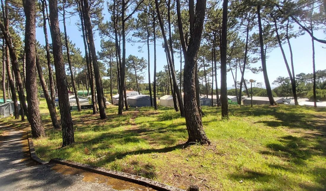 Parque Campismo INATEL Cabedelo — Sítio de acampamento in Viana do Castelo