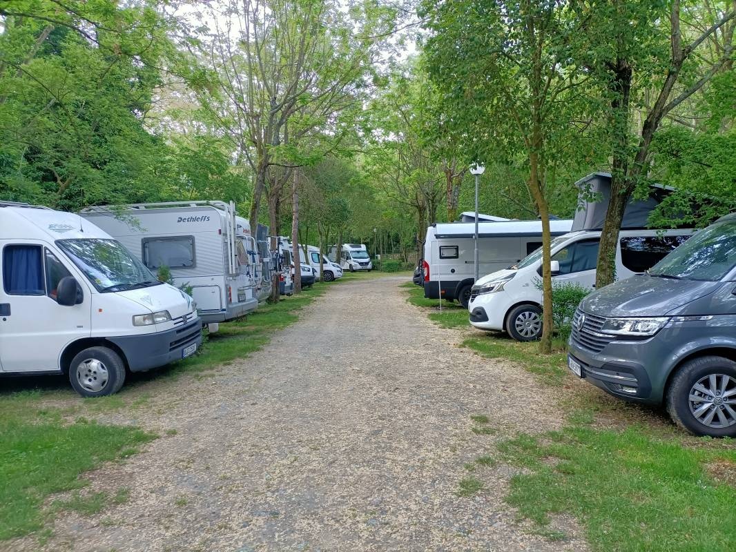 Camping 5 Terre — Campingplass in Levanto