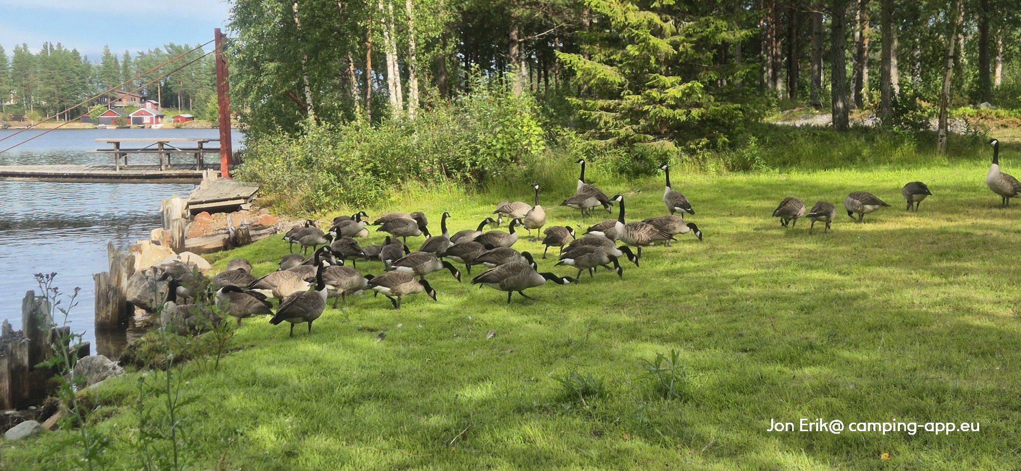 Sikeå Havscamping — Foto 4