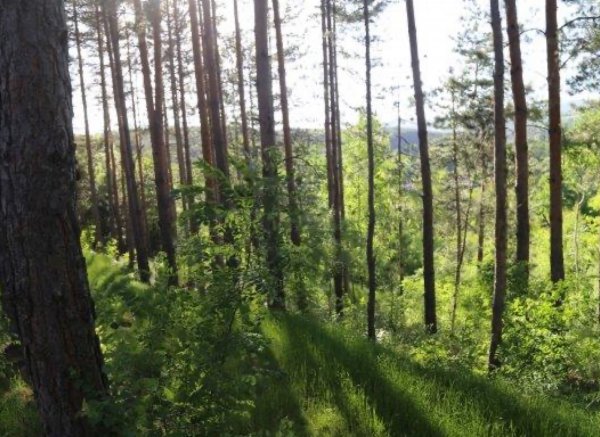 Camp Ambasador — Photo 5