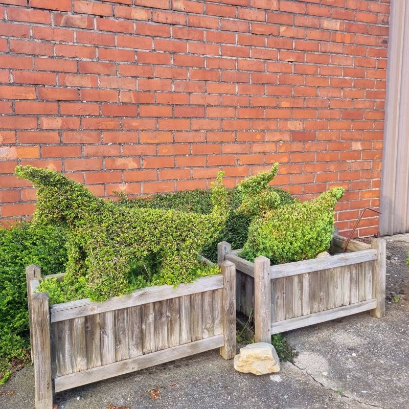 Haspengouwse Camperplaats — Campervan Site in Borgloon